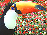松江フォーゲルパーク